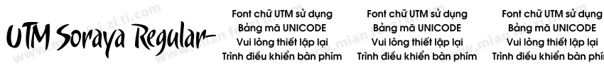 UTM Soraya Regular字体转换